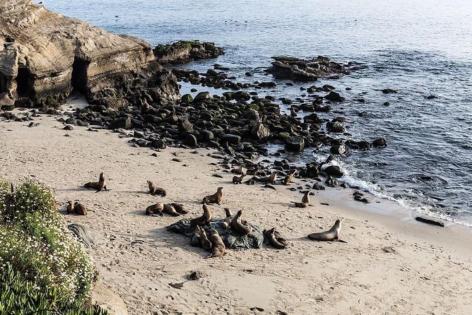 San Diego Scenic Tour - Coronado Island, Hotel del Coronado, and the Beach