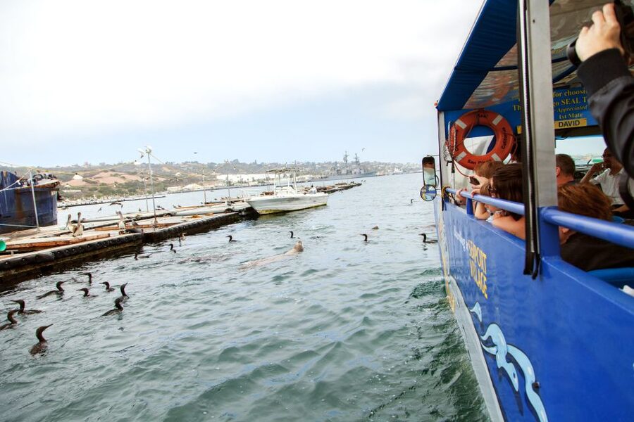 San Diego: SEAL City Tour by Amphibious Bus - Who should book this San Diego tour?