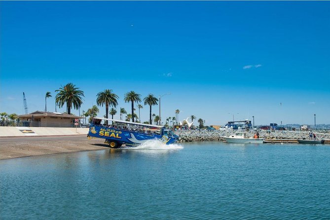 San Diego Seal Tour - The splash into San Diego Bay