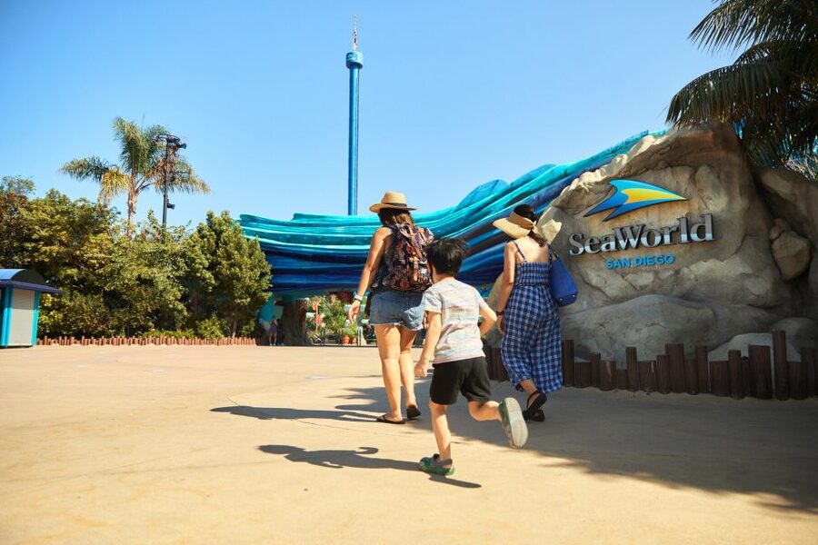 San Diego: SeaWorld Skip-the-Line Park Admission Ticket - Starting at SeaWorld San Diego