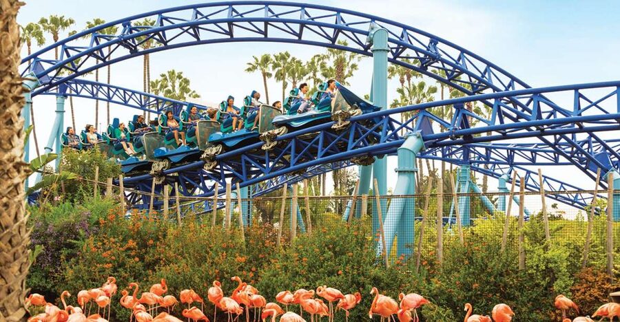 San Diego: SeaWorld Skip-the-Line Park Admission Ticket - Explorer’s Reef Touchpools and Sea Lion Point
