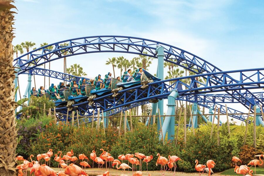 San Diego: SeaWorld Skip-the-Line Park Admission Ticket - Seeing beluga whales, dolphins, and sharks