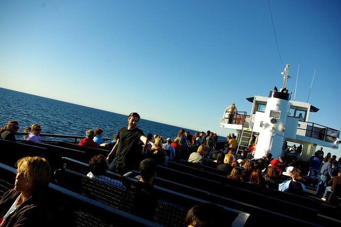 San Diego Whale Watching Cruise - Dolphins, sea lions, birds, and other ocean life