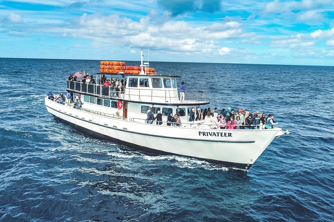 San Diego Whale Watching & Dolphin Cruise - Handling a slow wildlife day