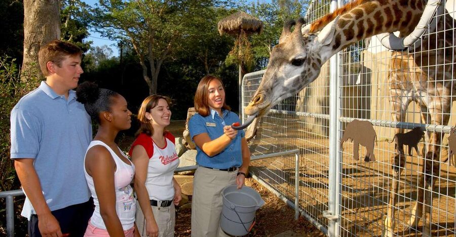 San Diego Zoo: 1-Day Admission Ticket - Key Points Before You Go