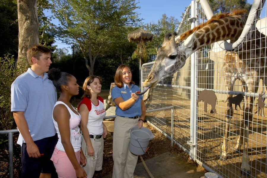 San Diego Zoo: 1-Day Admission Ticket - Why This Zoo Takes a Full Day