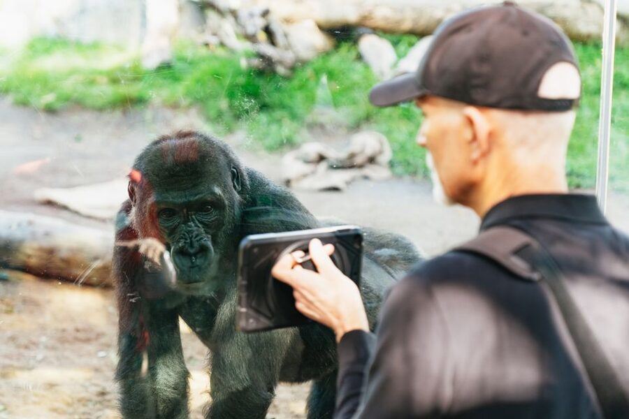 San Diego Zoo: 1-Day Admission Ticket - Africa Rocks and the Less Familiar Animals