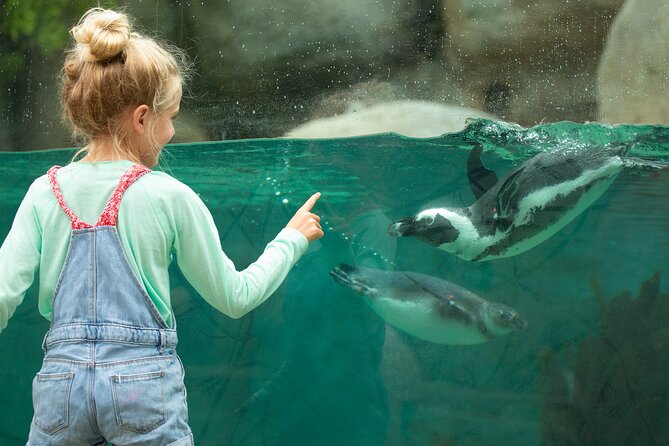 San Diego Zoo 1-Day Pass: Any Day Ticket - Pandas, koalas, and the most popular exhibits