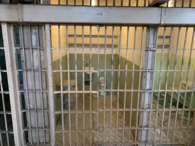 Alcatraz Tour with Muir Woods and Sausalito