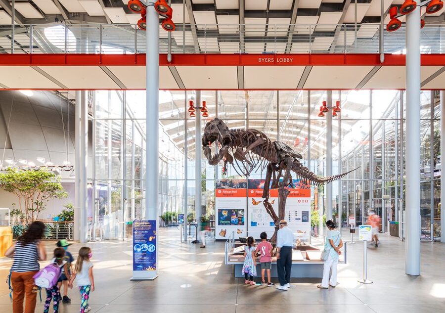 San Francisco: California Academy of Sciences Entry Ticket - Key things to know before you go