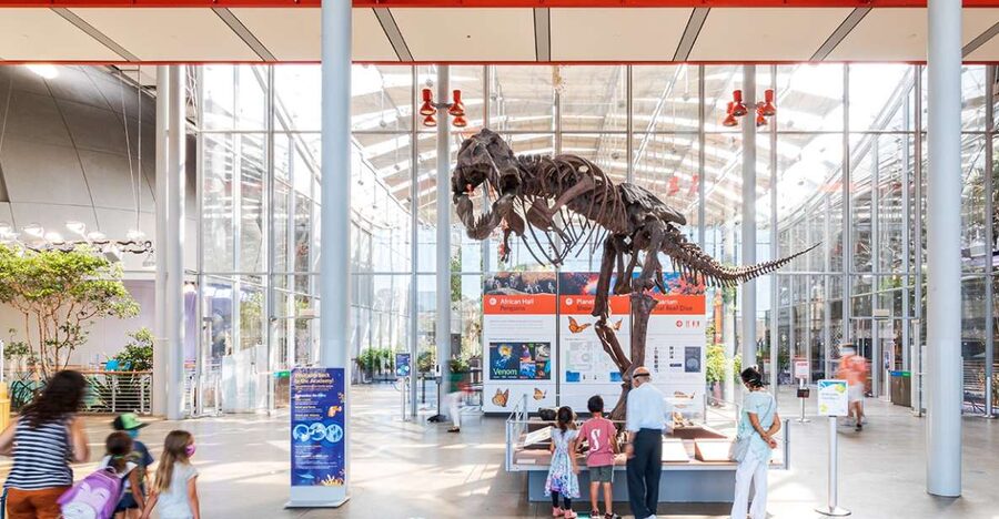 San Francisco: California Academy of Sciences Entry Ticket - Why this Golden Gate Park museum works so well