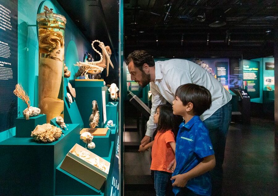 San Francisco: California Academy of Sciences Entry Ticket - Price, food, and overall value