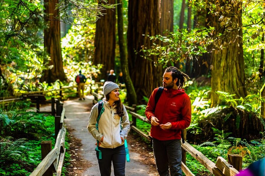 San Francisco: Muir Woods and Sausalito Half-Day Trip - The guides are a major part of the experience
