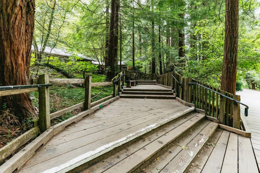 San Francisco: Muir Woods and Sausalito Small-Group Tour - Who Will Enjoy This Tour Most