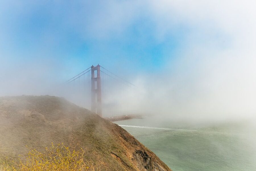 San Francisco: Muir Woods and Sausalito Small-Group Tour - What The Small Van Means For Your Day