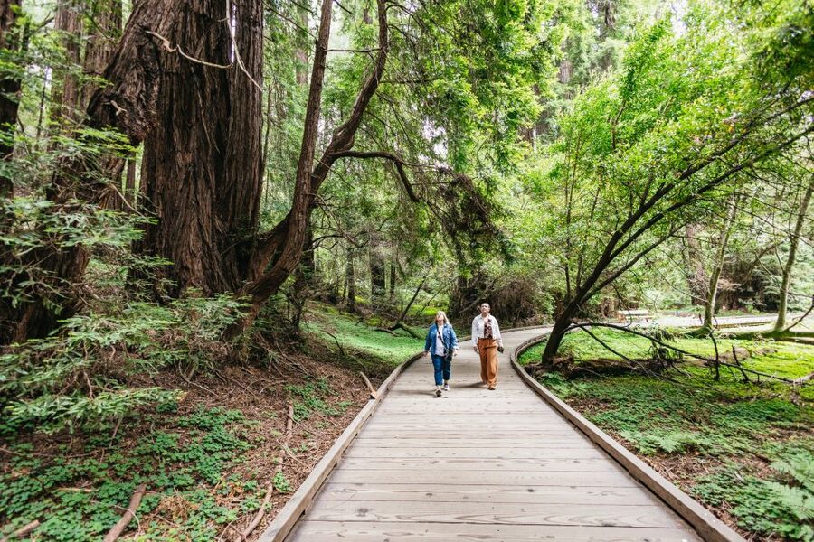 San Francisco: Muir Woods, Napa & Sonoma Valley Wine Tour - Mayo Family Winery and the first tasting