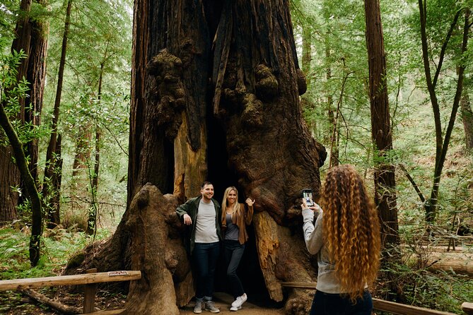 San Francisco, Muir Woods, Sausalito and optional Alcatraz tour - Palace of Fine Arts and the return to Little Italy