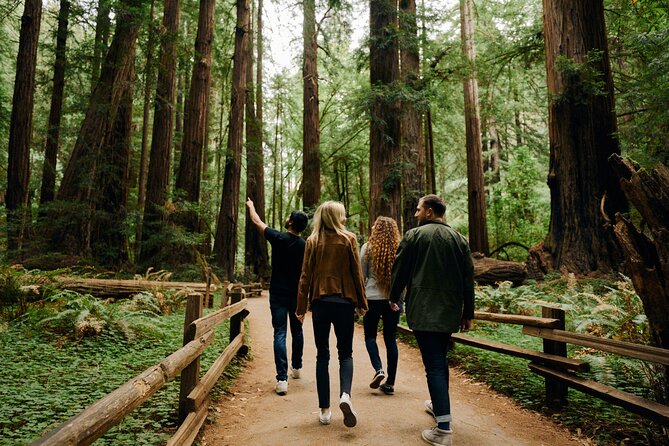 San Francisco, Muir Woods, Sausalito and optional Alcatraz tour - What the guides add to the ride