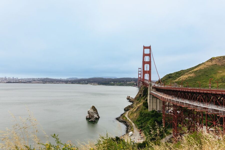 San Francisco: Muir Woods & Sausalito Tour with Ferry Option - Who should book this Muir Woods tour?