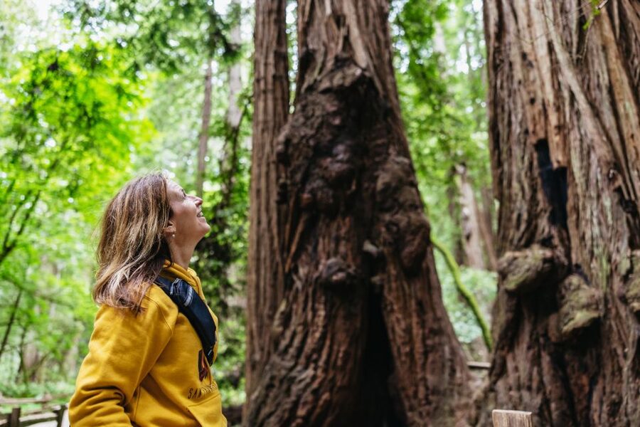 San Francisco: Muir Woods & Sausalito Tour with Ferry Option - Walking under the redwoods at Muir Woods