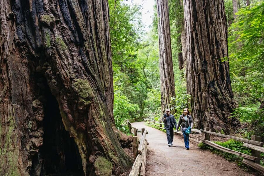 San Francisco: Muir Woods & Sausalito Tour with Ferry Option - Crossing the Golden Gate Bridge