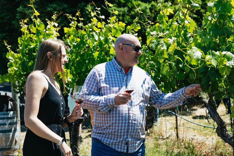 San Francisco: Napa and Sonoma Valley Wine Tour - Is $165 a good deal?