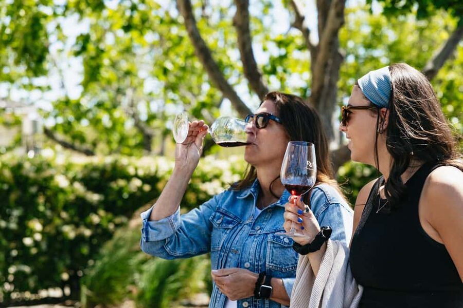 San Francisco: Napa and Sonoma Valley Wine Tour - Golden Gate Bridge: 15 minutes for the classic photograph