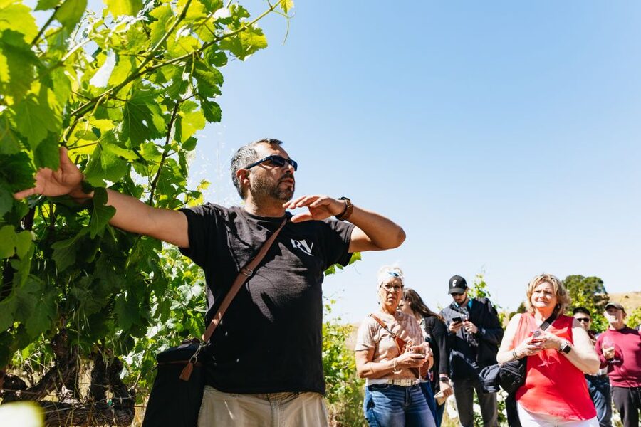 San Francisco: Napa and Sonoma Valley Wine Tour - The third winery: finish with one more tasting