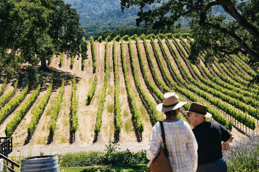 San Francisco: Napa and Sonoma Valley Wine Tour - 8:40 or 9:00 pickup in central San Francisco