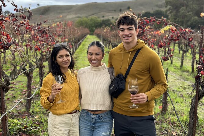 San Francisco Super Saver: Muir Woods & Wine Country w/ optional Gourmet Lunch - Mayo Family Winery and the appeal of smaller producers