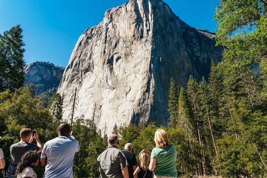 San Francisco: Yosemite National Park & Giant Sequoias Hike - Price, timing, and the real value