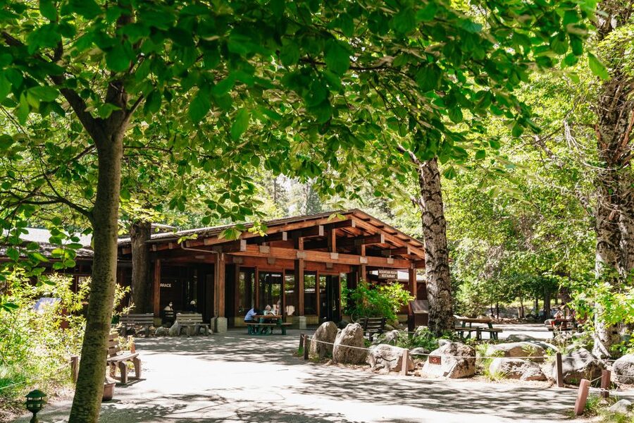 San Francisco: Yosemite National Park & Giant Sequoias Hike - Is a San Francisco to Yosemite day trip worth the long ride?