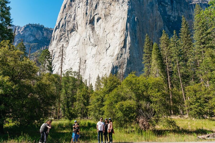 San Francisco: Yosemite National Park & Giant Sequoias Hike - Half Dome, Bridalveil Fall, and Sentinel Bridge