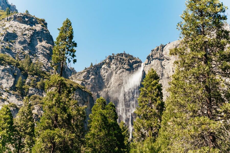 San Francisco: Yosemite National Park & Giant Sequoias Hike - Two hours to make your own Yosemite Valley plan
