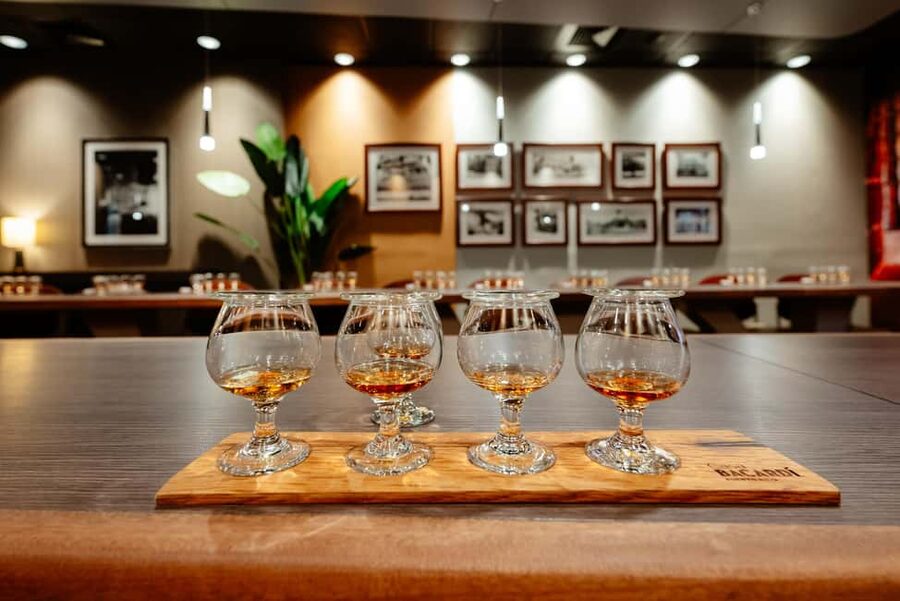 San Juan: Casa Bacardi Distillery Tour - What the Casa Bacardi visit is really like