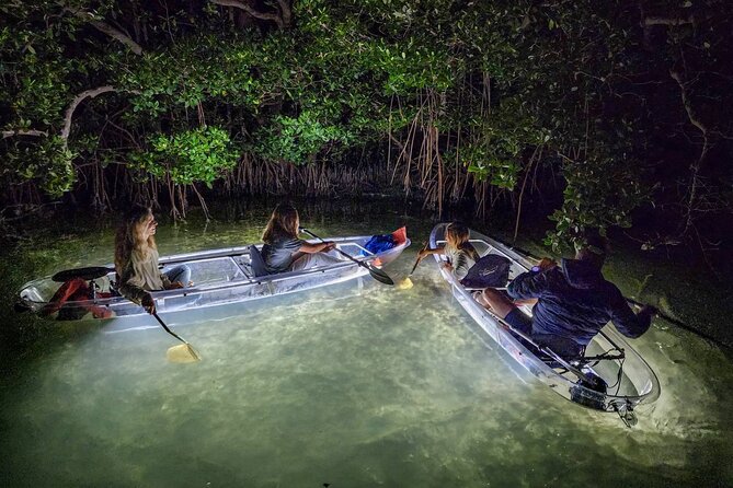 Sarasota - Clear Kayak LED Night Glass Bottom Tour - Key points to know before you paddle