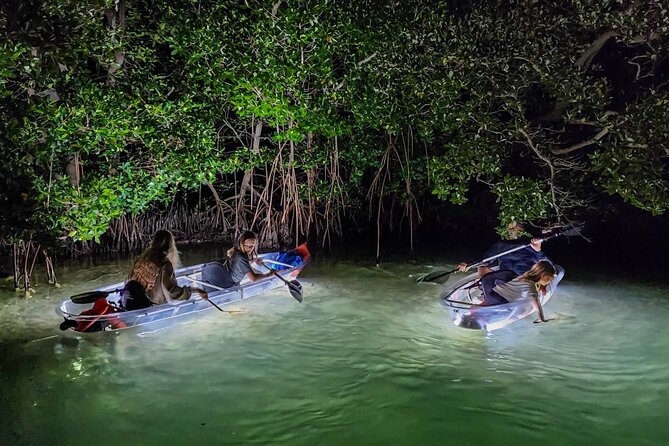 Sarasota - Clear Kayak LED Night Glass Bottom Tour - Searching with nets for shells and sea life