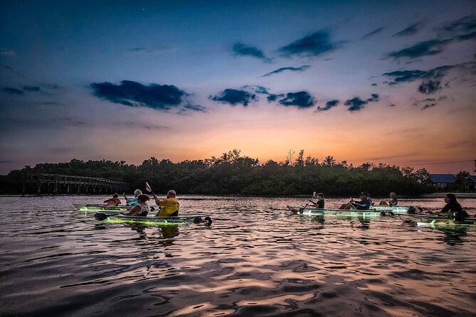 Sarasota - Clear Kayak LED Night Glass Bottom Tour - The guides make the short tour work