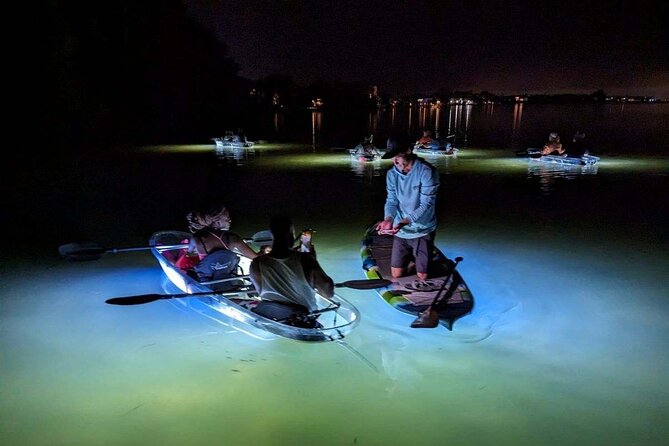 Sarasota - Clear Kayak LED Night Glass Bottom Tour - Who gets the best value at $65