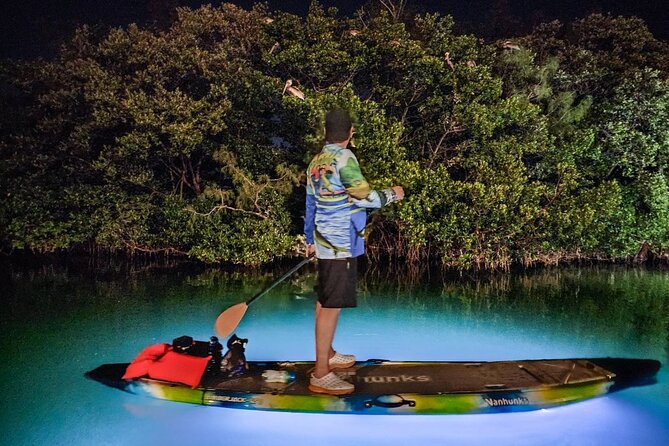 Sarasota - Clear Kayak LED Night Glass Bottom Tour - Weather, cancellations, and basic access