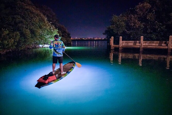 Sarasota - Clear Kayak LED Night Glass Bottom Tour - Paddling at an easy pace