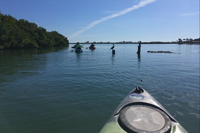 Sarasota Guided Mangrove Tunnel Kayak Tour - Getting comfortable in a single or tandem kayak