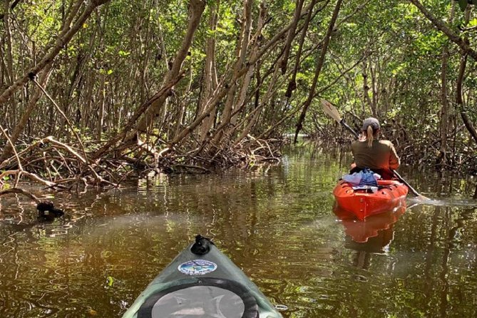 Sarasota Guided Mangrove Tunnel Kayak Tour - What the guides add to the experience