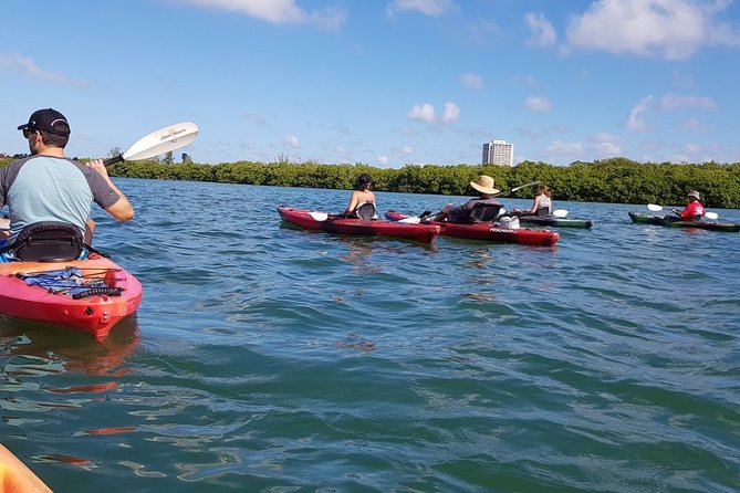 Sarasota Guided Mangrove Tunnel Kayak Tour - Paddling across Little Sarasota Bay