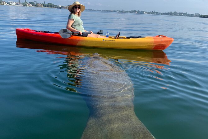 Sarasota Mangrove Tunnel Guided Kayak Adventure - Key Points Before You Paddle