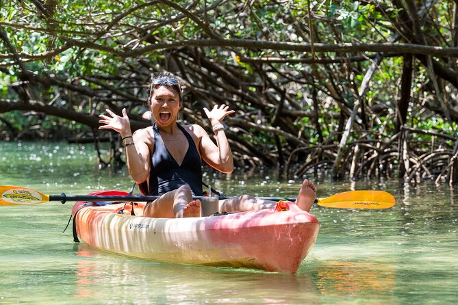 Sarasota Mangrove Tunnel Guided Kayak Adventure - Starting at Ted Sperling Nature Park