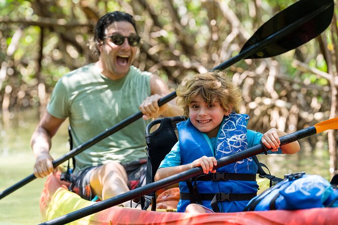 Sarasota Mangrove Tunnel Guided Kayak Adventure - Wildlife You Might See Along the Way