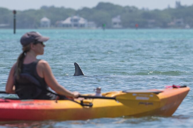 Sarasota Mangrove Tunnel Guided Kayak Adventure - Is $65 a Fair Price?