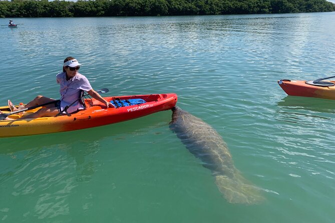 Sarasota Mangrove Tunnel Guided Kayak Adventure - Who Will Enjoy This Kayak Tour Most?