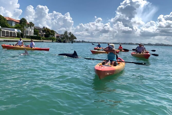 Sarasota Mangrove Tunnel Guided Kayak Adventure - Practical Tips for a Better Morning